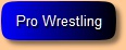 Pro Wrestling History