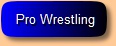 Pro Wrestling History