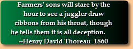 Thoraeu quotation
